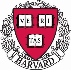 Favolare - laboratori di ceramica per bambini dell'Università di Harvard con il laboratorio Creta Rossa